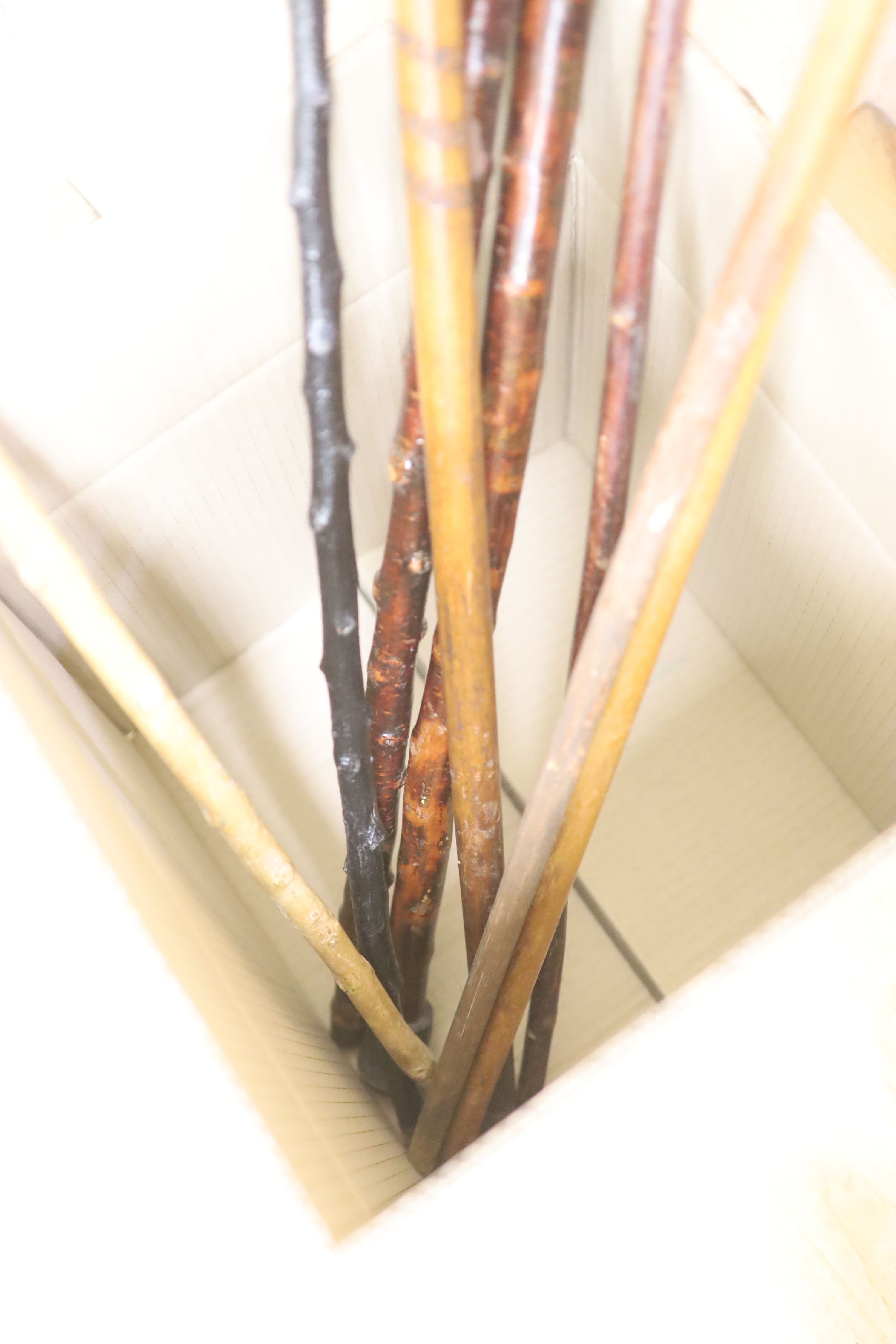 A collection of eight horn and antler handled walking sticks